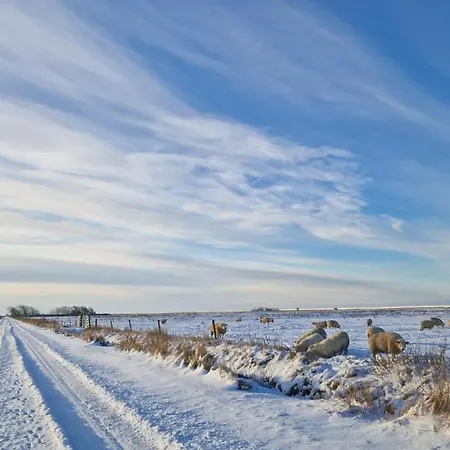 Hus Meeresbrise Appartement Arrild